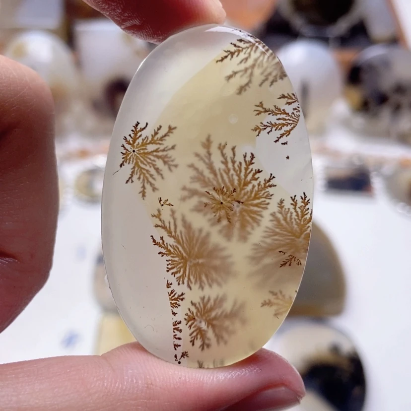 【闪购商品】玛瑙/玉髓颈饰未镶嵌