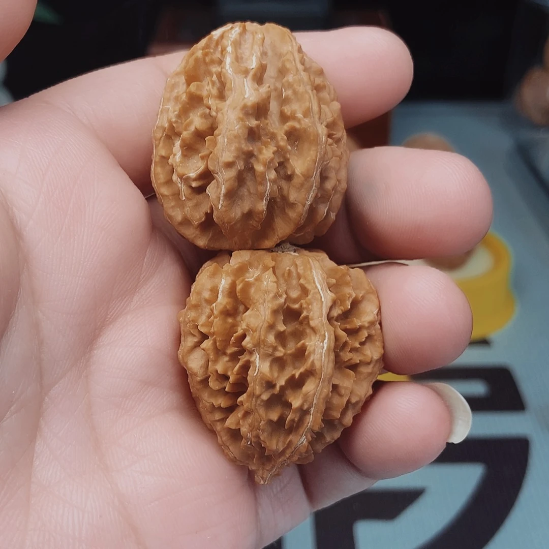 ?**椒知名赞助核桃一对！！！！！