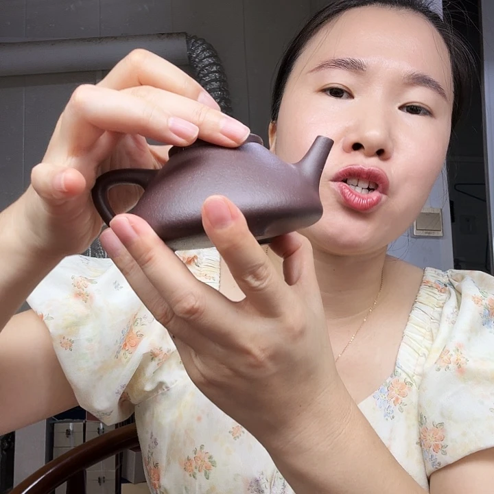 茶壶紫砂原矿半手工天青泥子冶200cc