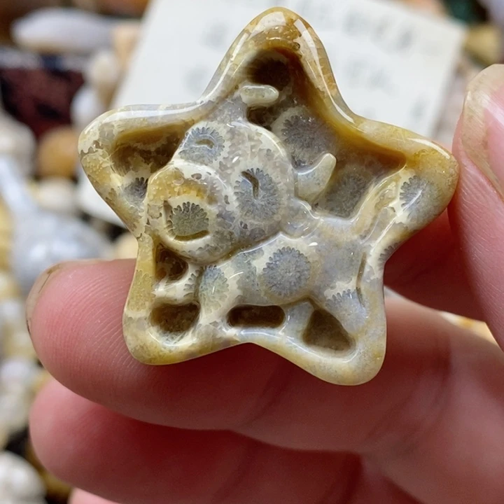 颈饰未镶嵌硅化珊瑚（珊瑚玉）小