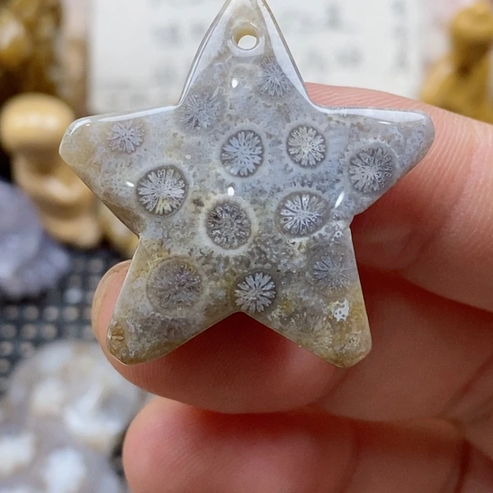 颈饰未镶嵌硅化珊瑚（珊瑚玉）