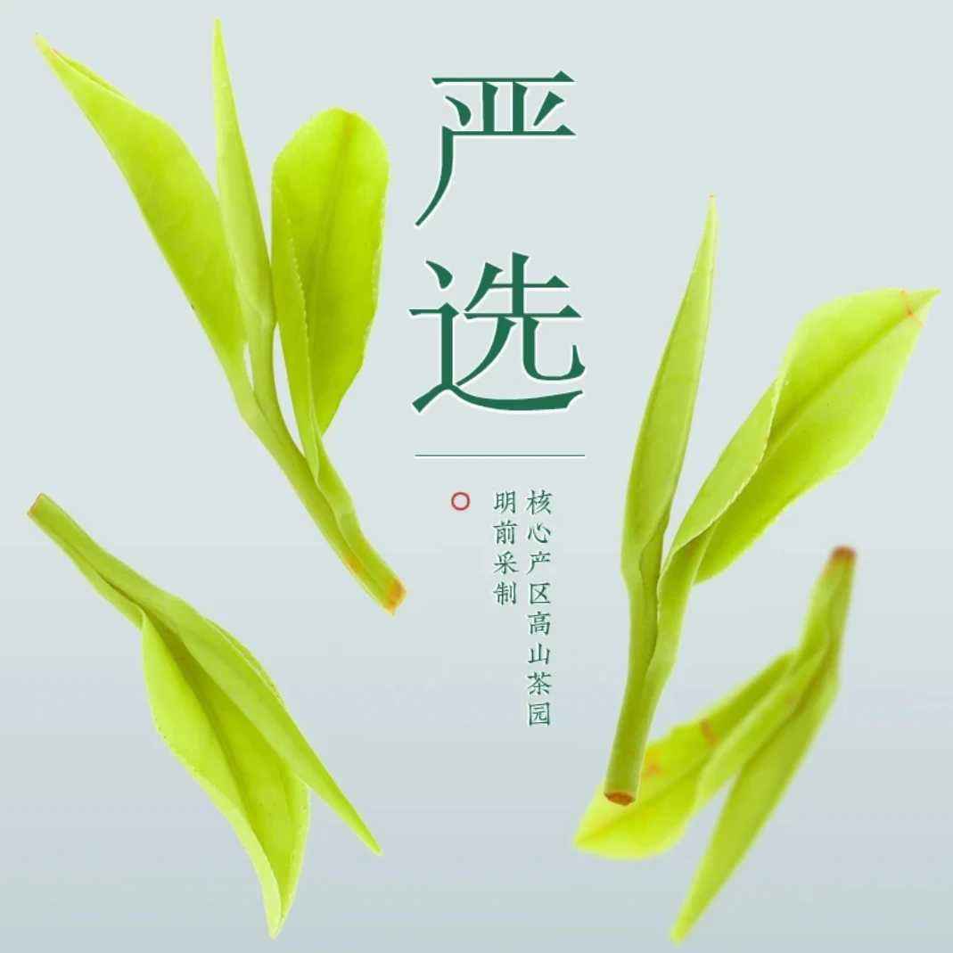 安吉高山口粮白茶