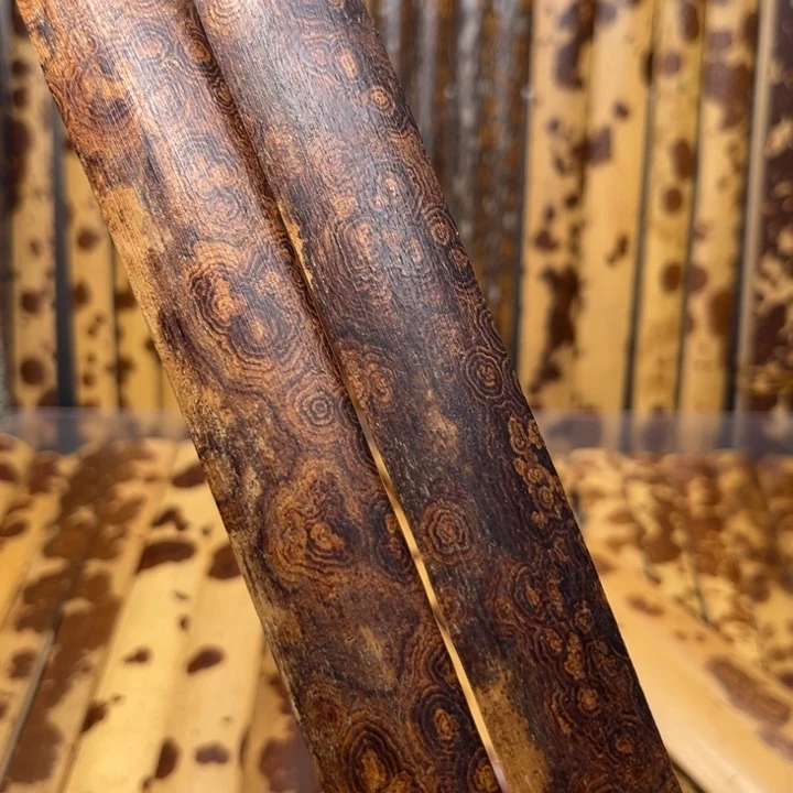 扇子扇子扇子扇子扇子