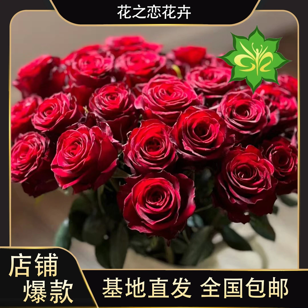 红色玫瑰玫瑰居家办公优选《东北基地发货卡罗拉》