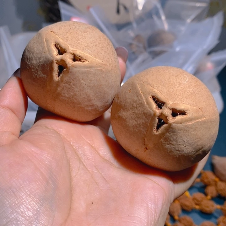 野生蟠桃三花大橄榄核5465