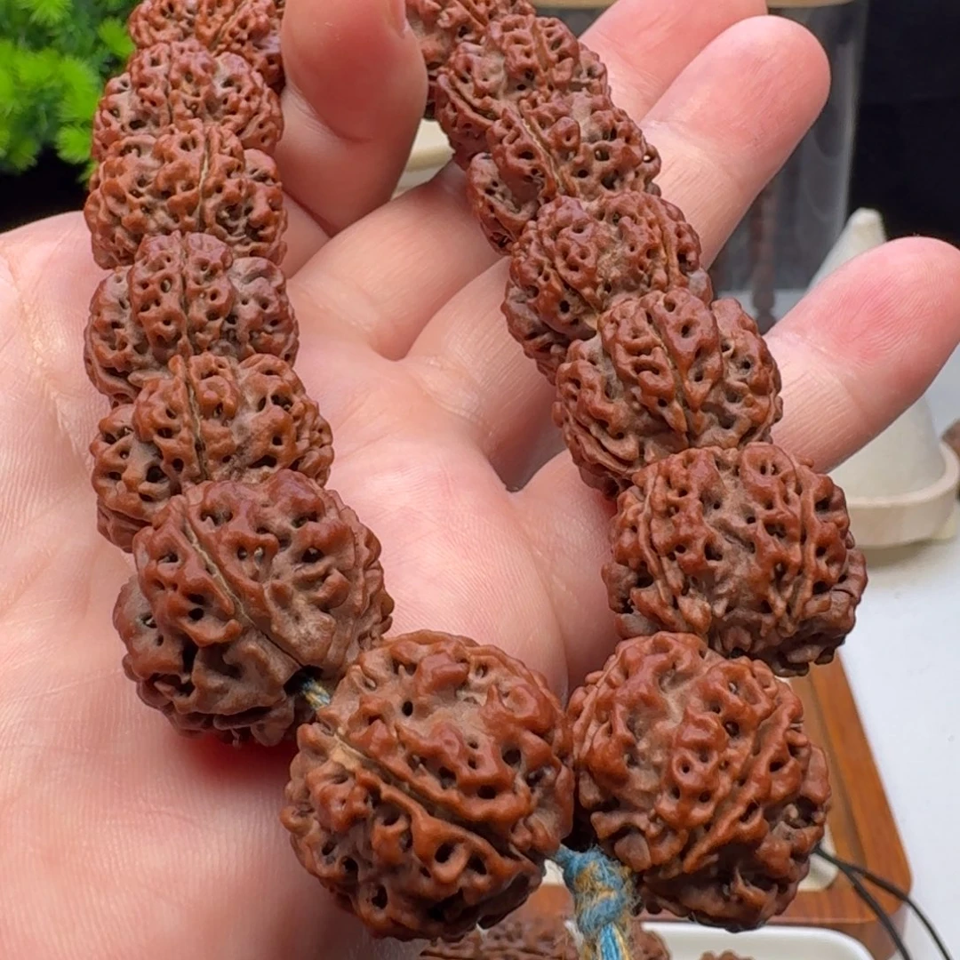 手串金刚菩提双龙