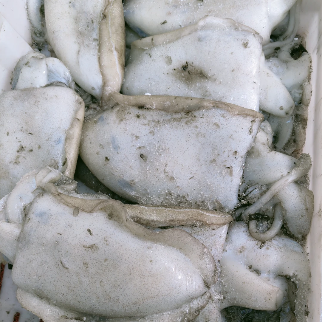 东海野生目鱼小船捕捞 (300-500g/只4_6斤野生锁鲜速冻春季囗感好