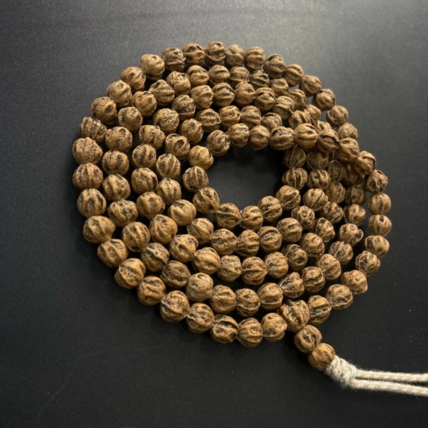 热振一哥《举世黑莲》定制级百香籽