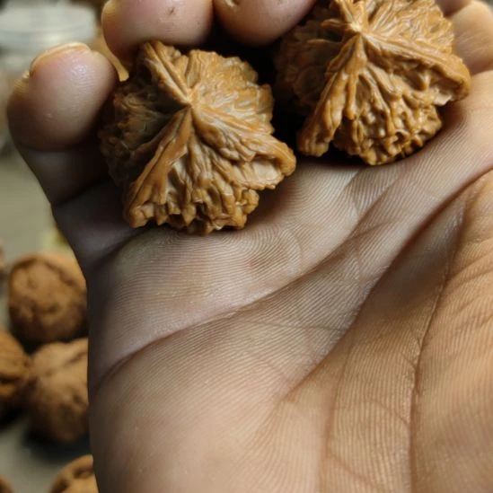 不***矣大叶紫檀（黑酸枝木类）盘山三棱核桃