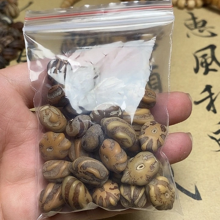 菩提根/象牙果把件龙脊菩提原籽25粒