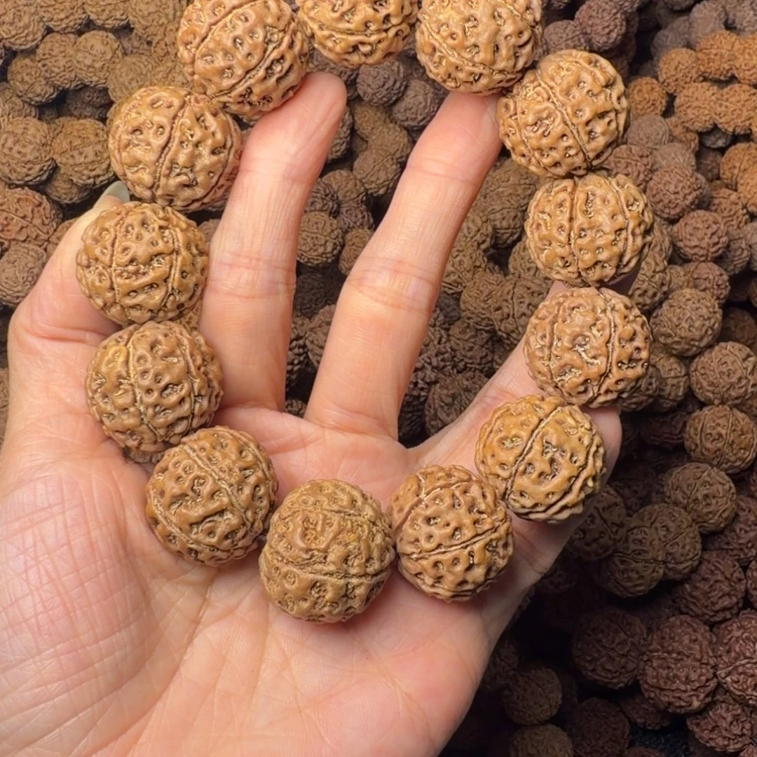 手串金刚菩提7瓣卡23尺，79号