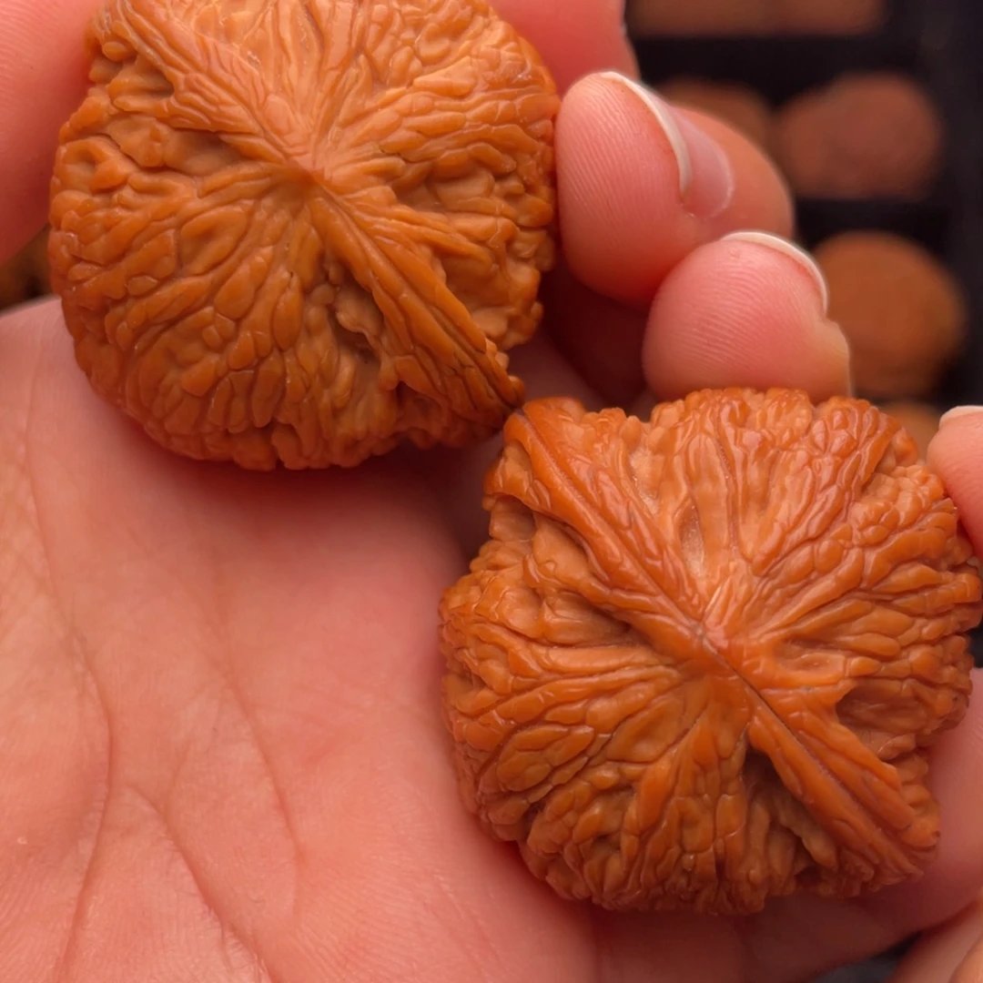 文玩核桃把件秦岭山脉