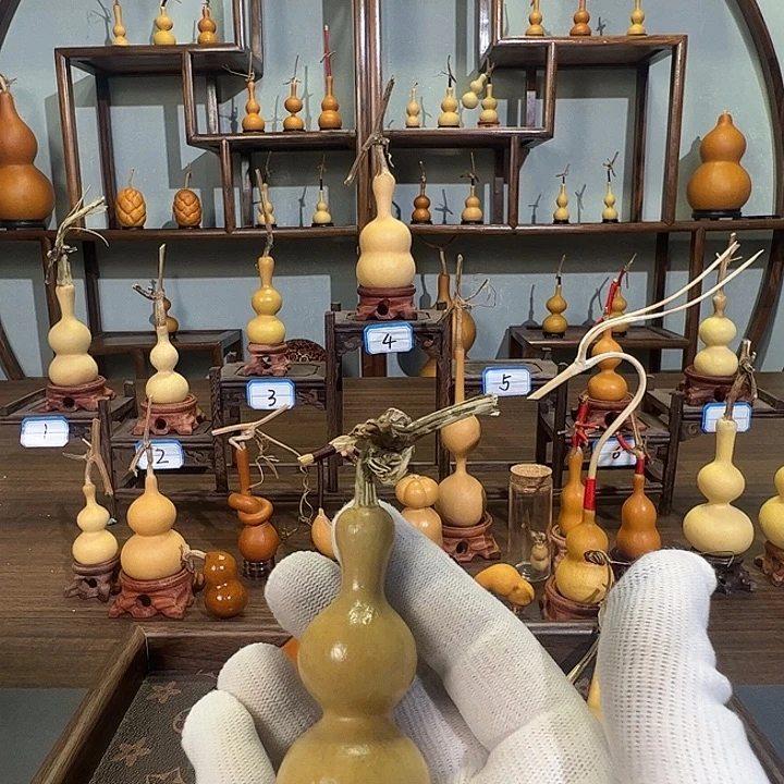 大***谦蚂蚁蚂蚁蚂蚁蚂蚁