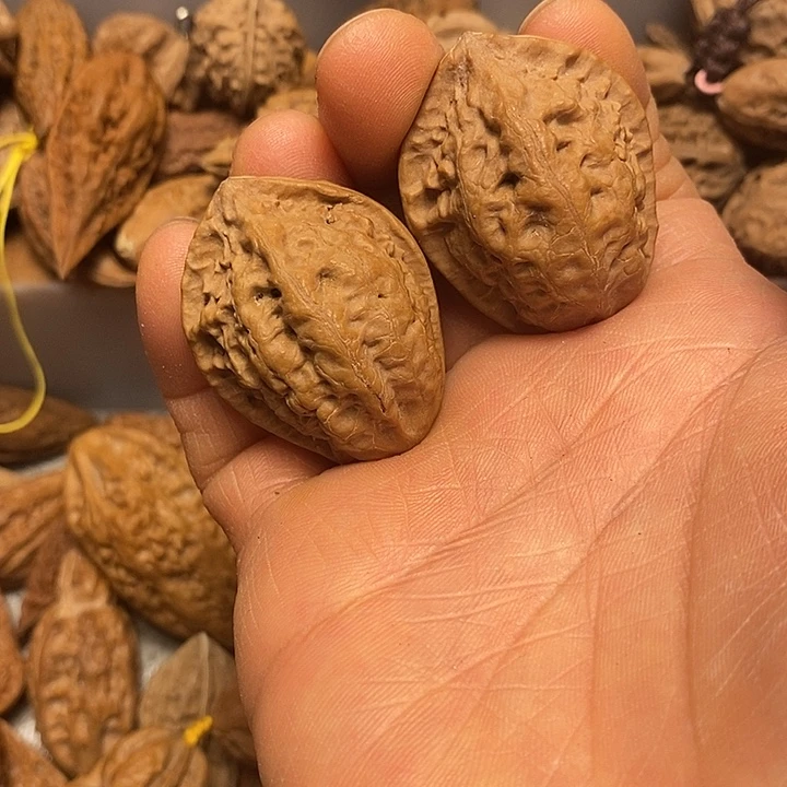 文玩核桃吊坠不错百财