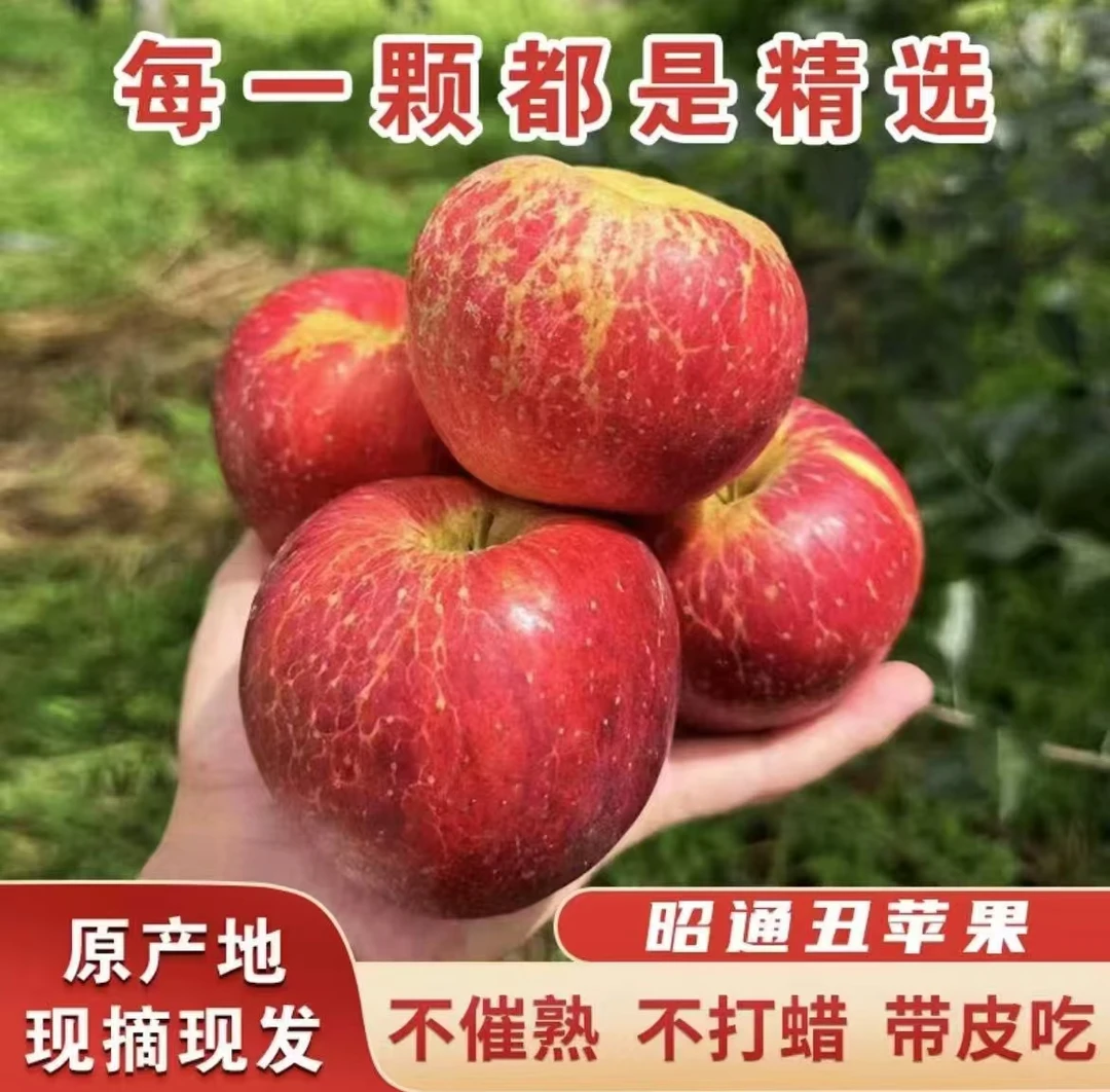 正宗当季云南昭通冰糖心丑苹果新鲜脆甜多汁精选原产地现摘现发