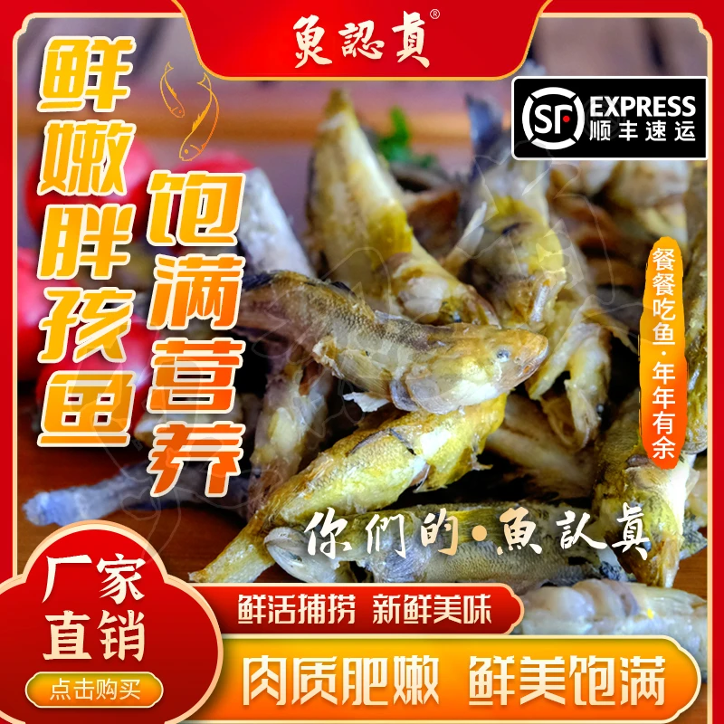 【鱼认真】虾池里的 烤的富汉子脖鱼 胖孩鱼  卤炸的熟的下酒菜袋装