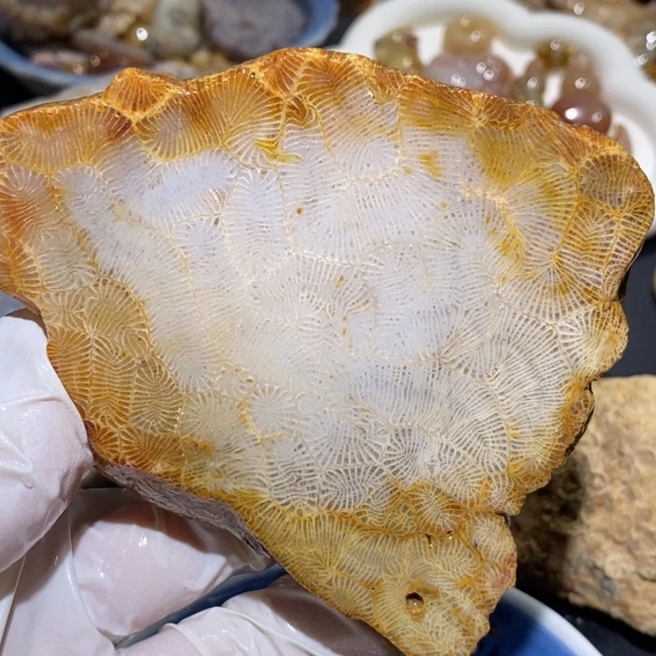 【闪购商品】未镶嵌珊瑚玉硅化玉包抛光