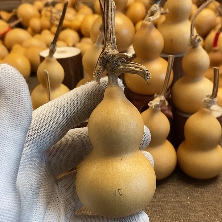 文玩葫芦 完美主义者 慎拍15