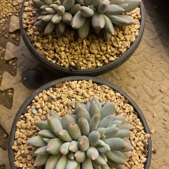 H***n888888888888888888