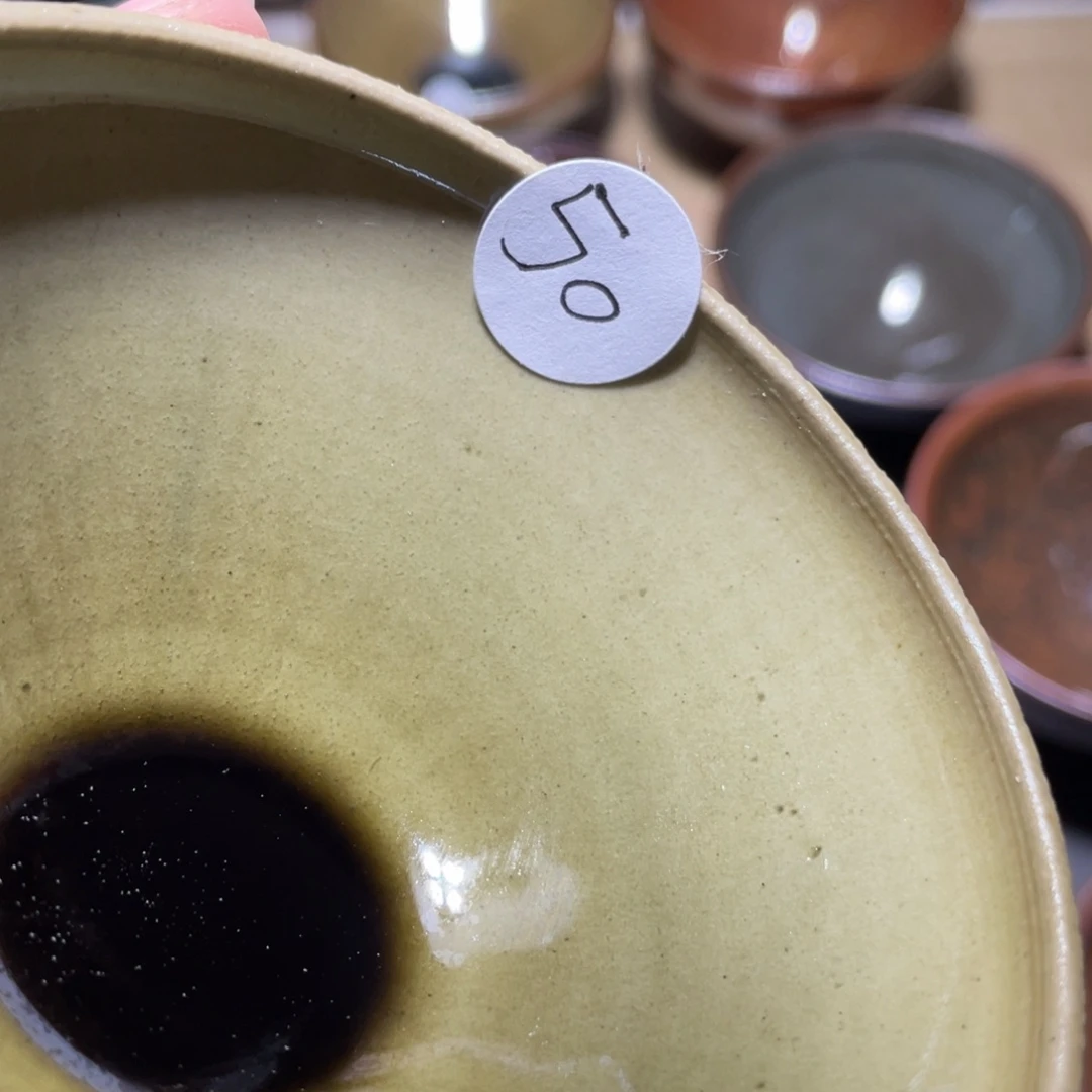 茶盏66666666666666666