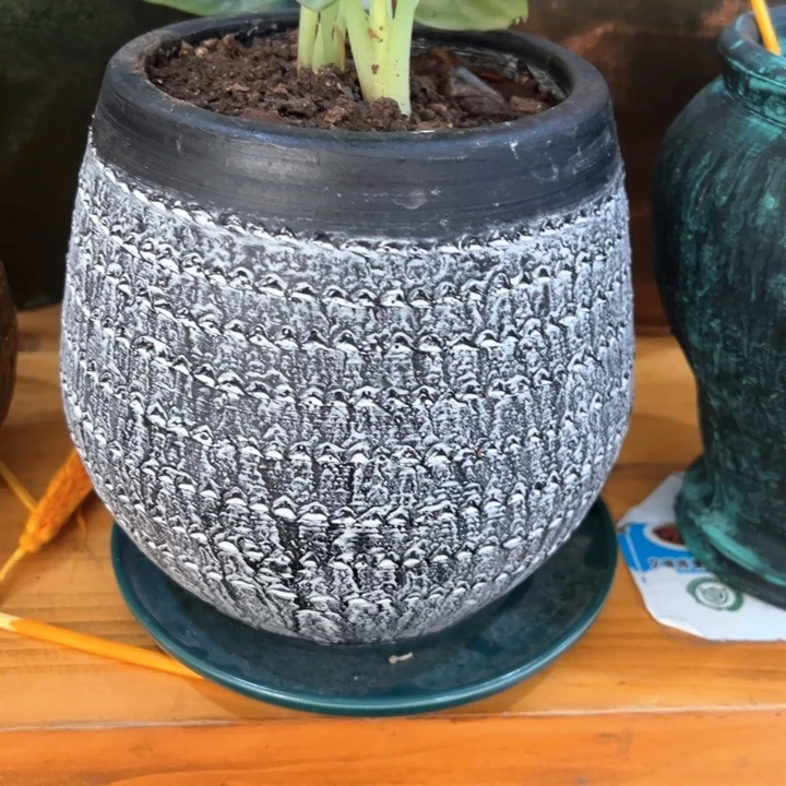 9.9-1高15口12灰106