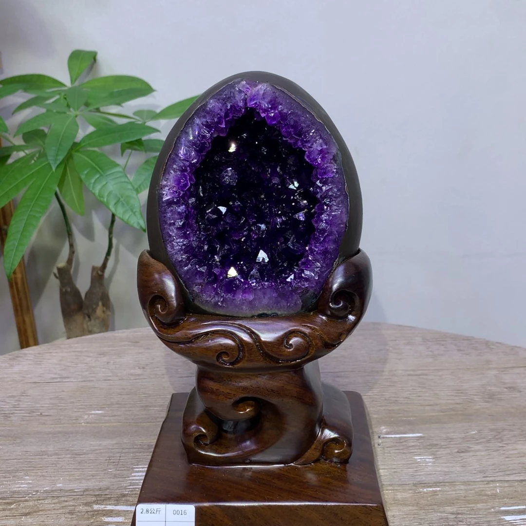 织绣乌拉圭圆口帝王紫大牙恐龙蛋