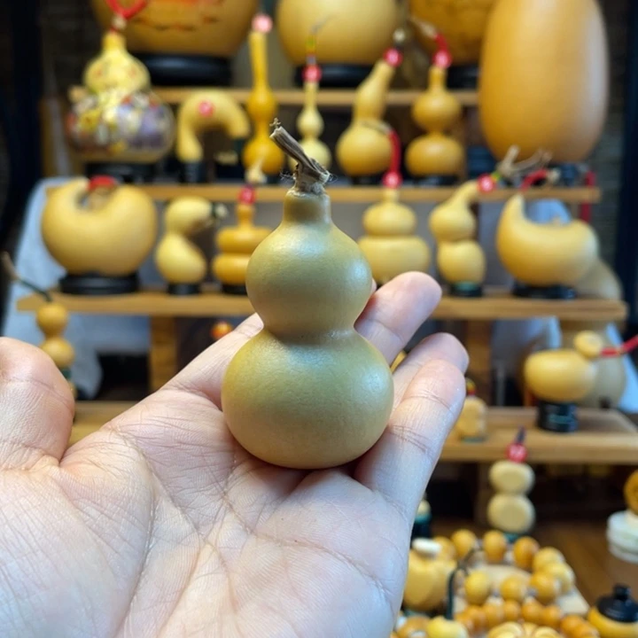 池***猛天然葫芦自然生长
