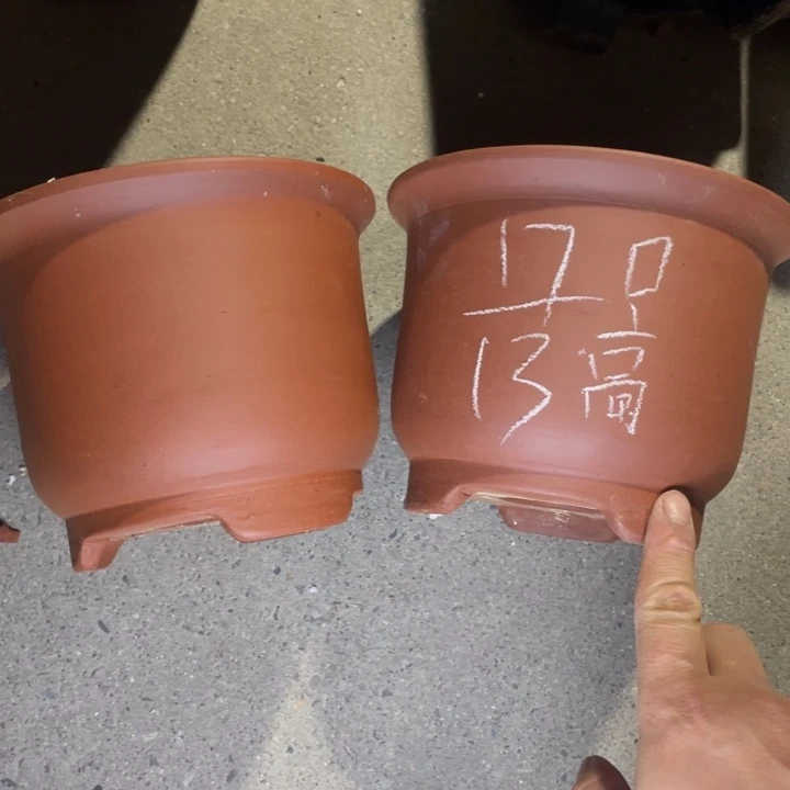 紫砂紫砂紫砂紫砂
