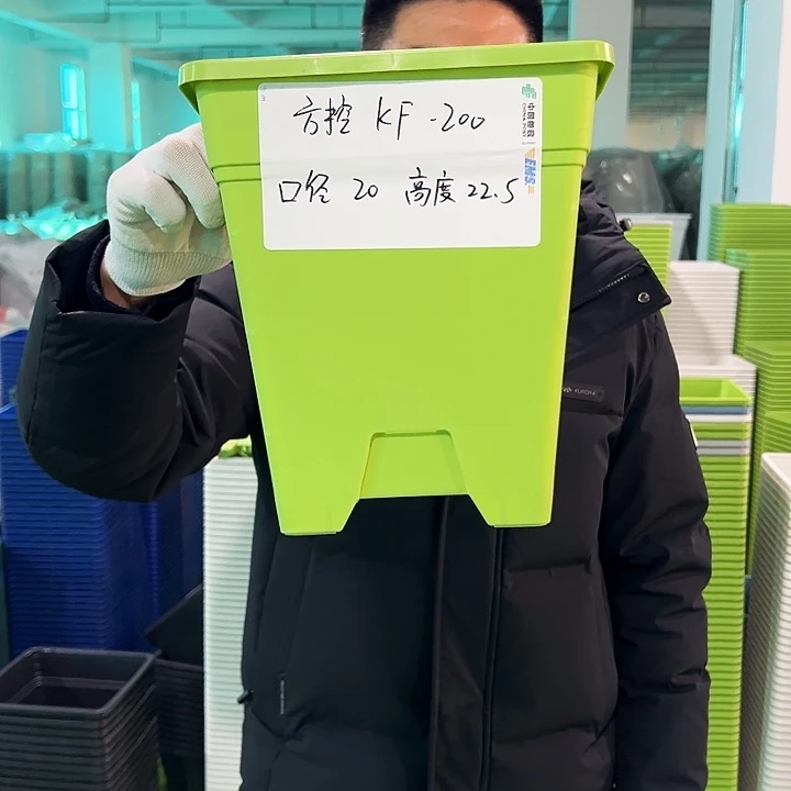 正品方盆口20高22果绿6只无托