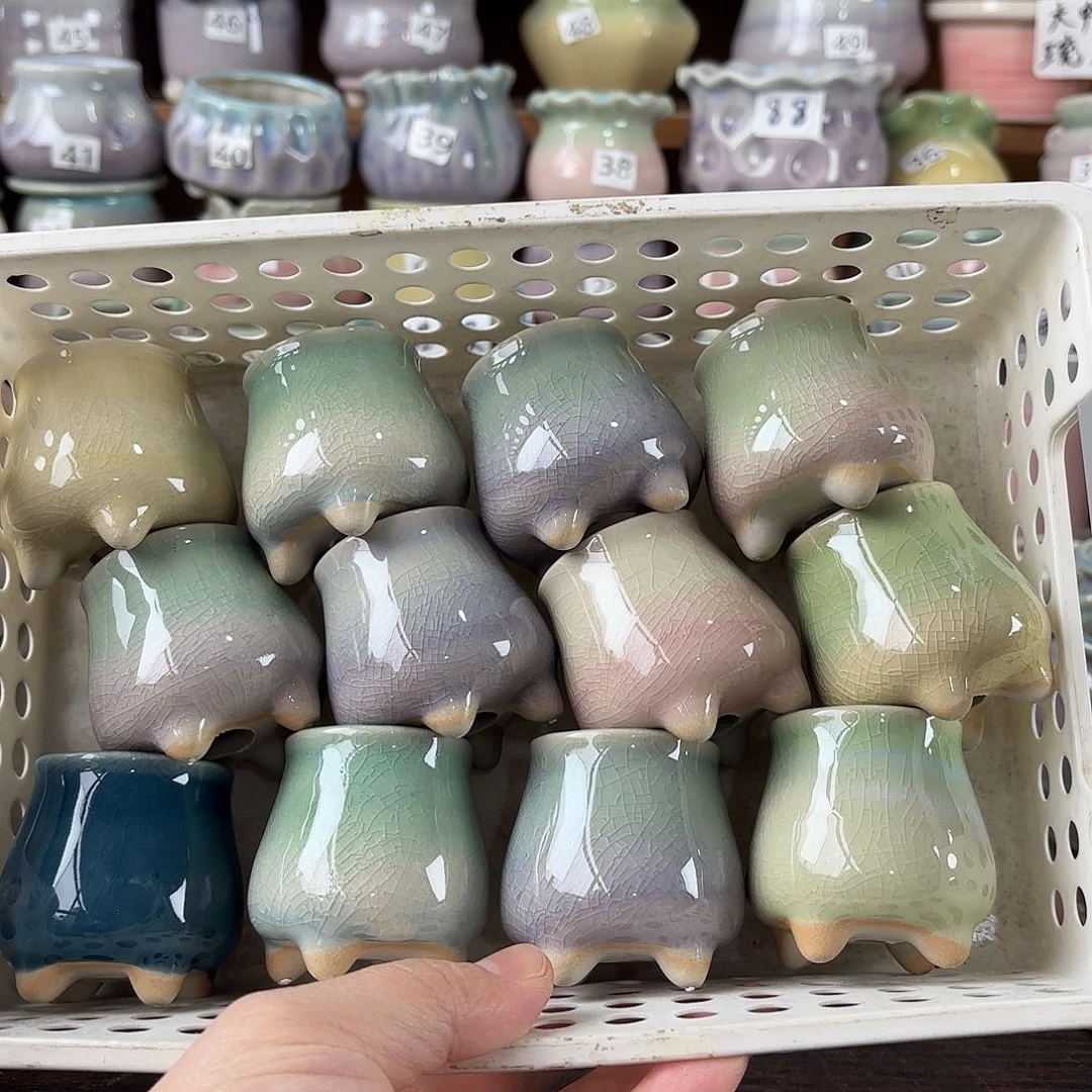 量货/口3.5高深浅搭配发12个