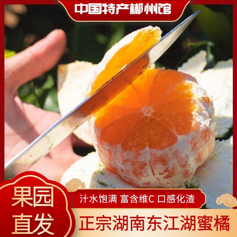 湖南郴州东江湖蜜橘 蜜桔 清江蜜橘 高山蜜橘