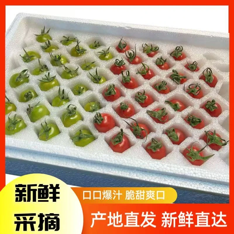 红绿双色混装小番茄新鲜头茬精选现摘圣女果千禧小柿子水果2斤5斤
