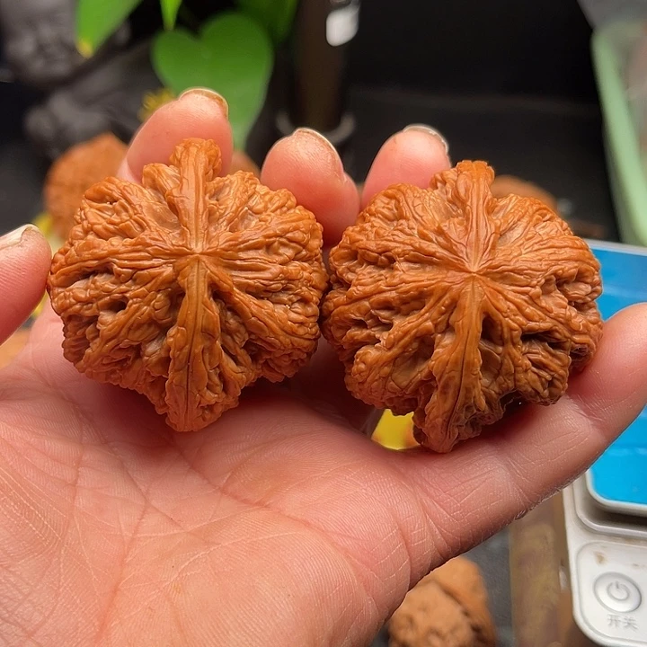 把件桃核大粗筋边50