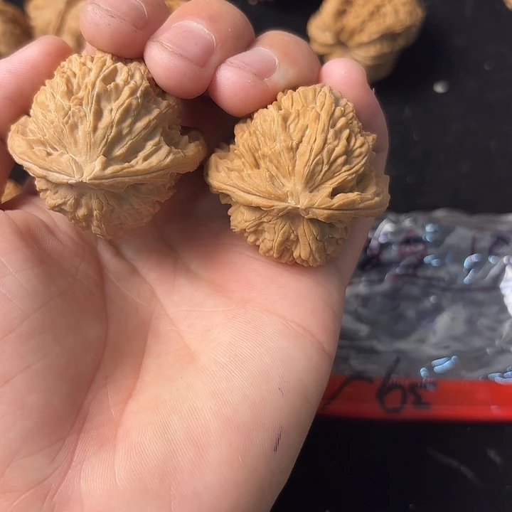 大叶紫檀(黑酸枝木类)