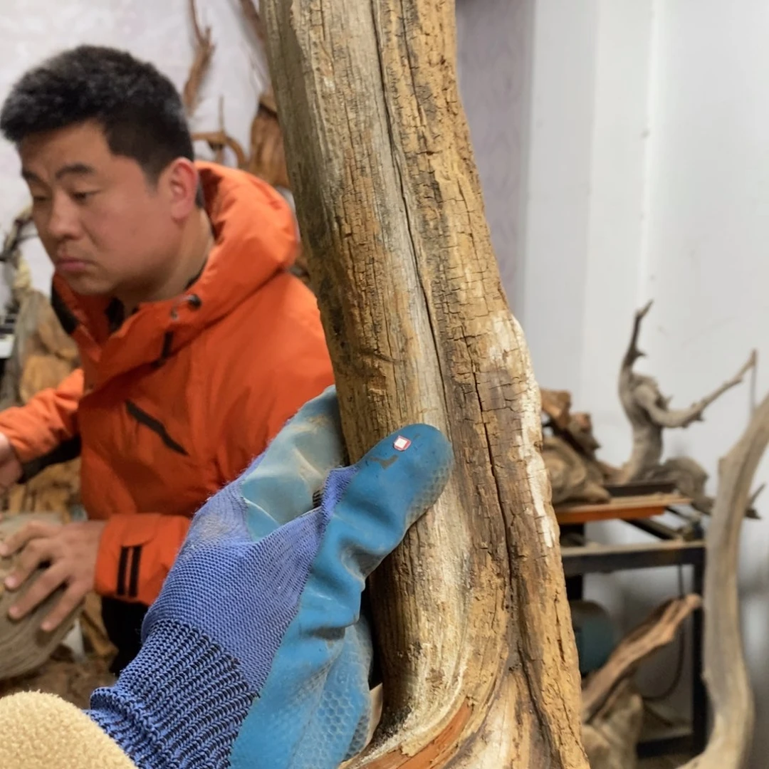 柏木古**香我们都是好孩子