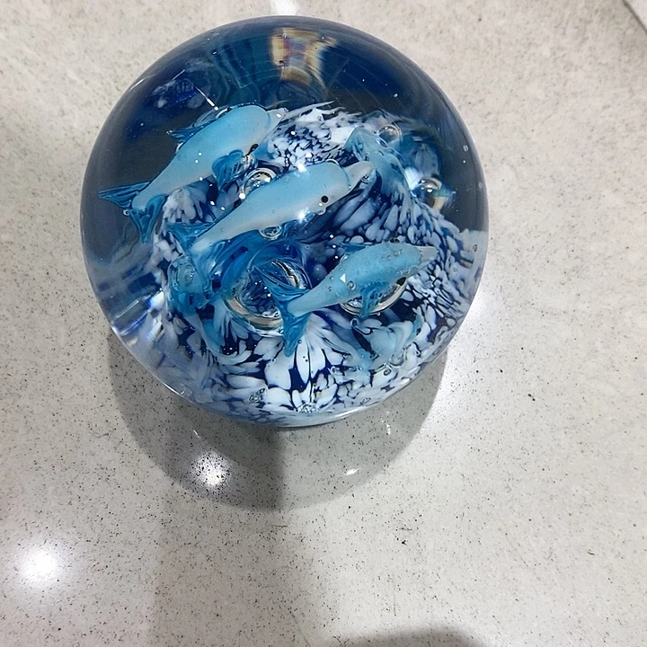 瑕疵多6464994994949