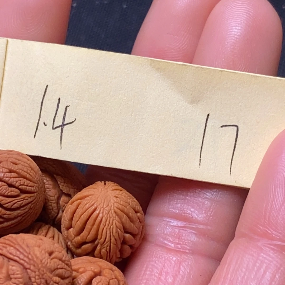 吊坠桃核陕西秦岭山桃核