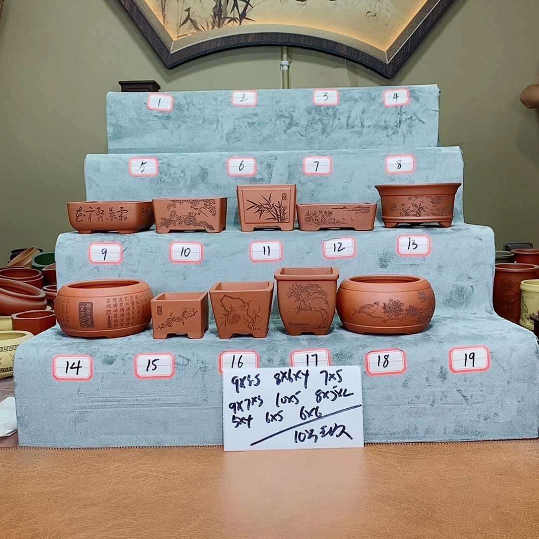 紫砂花盆我在看电影