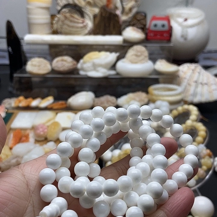 非金属贝壳全白通货0.8多圈