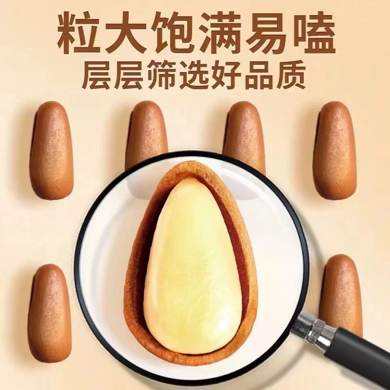 【1斤装】俄罗斯进口营养醇香开壳烤松子500g/袋