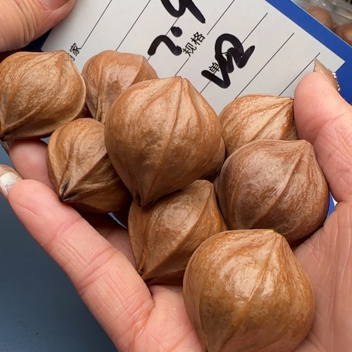 啥***是手串橄榄核橄榄核