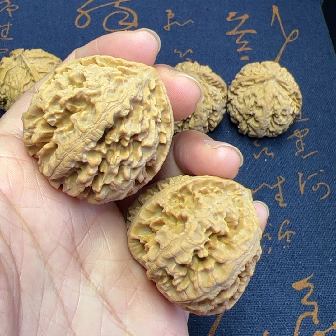 文玩核桃把件健*秦岭野生植物核桃