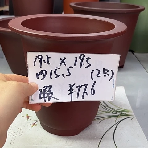 紫砂3555588658555555555