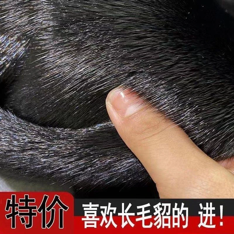 进口水貂皮外套男士整貂真貂皮大衣男反季海宁皮草水貂毛短款保暖