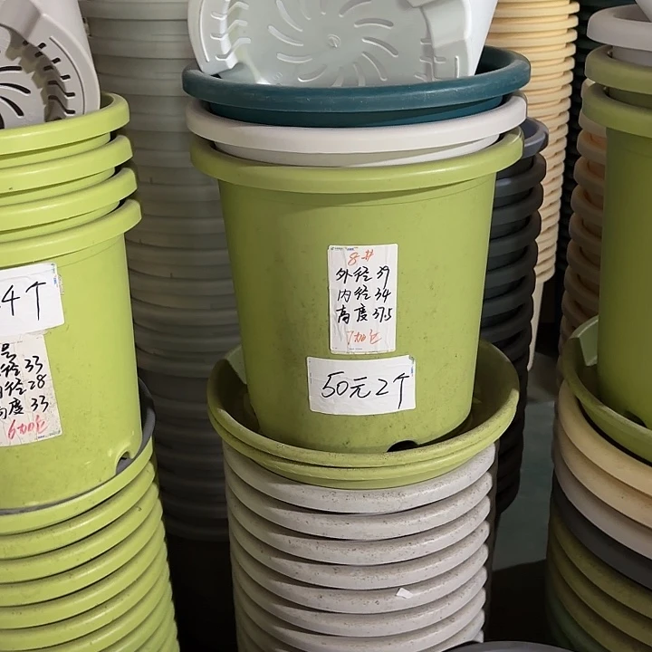 微瑕9#口径39无托果绿3个