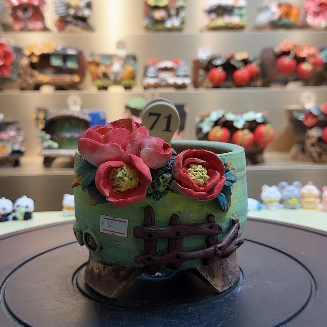 嵐***嵐71 【闪购】多肉花盆