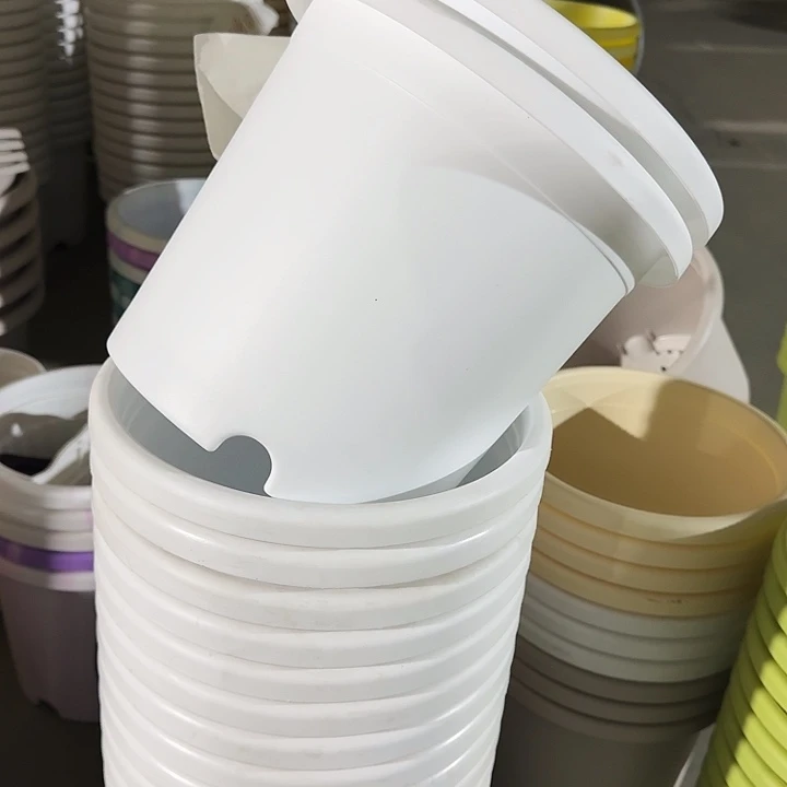 四季4#口径25白色5个无托