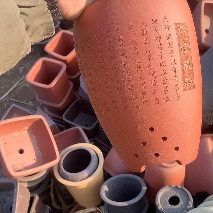 紫砂哈哈真的是太给力太火爆了不是吗综艺