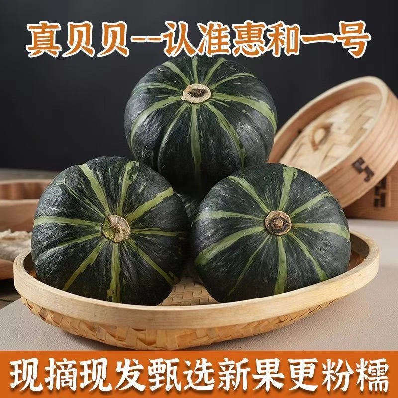 【惠和一号】贝贝南瓜正宗农家板栗南瓜小南瓜当季新鲜婴儿辅食软糯