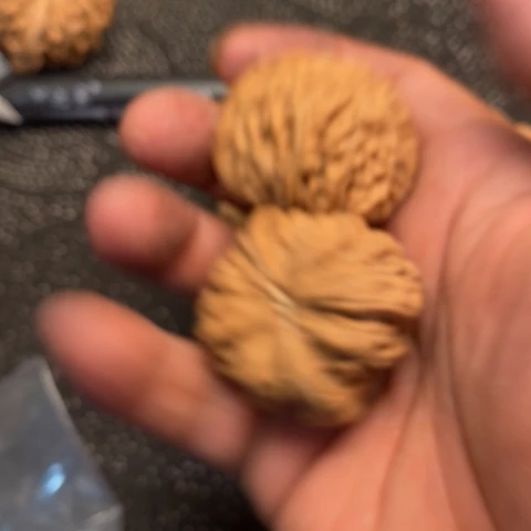 文玩核桃把件白狮子头10